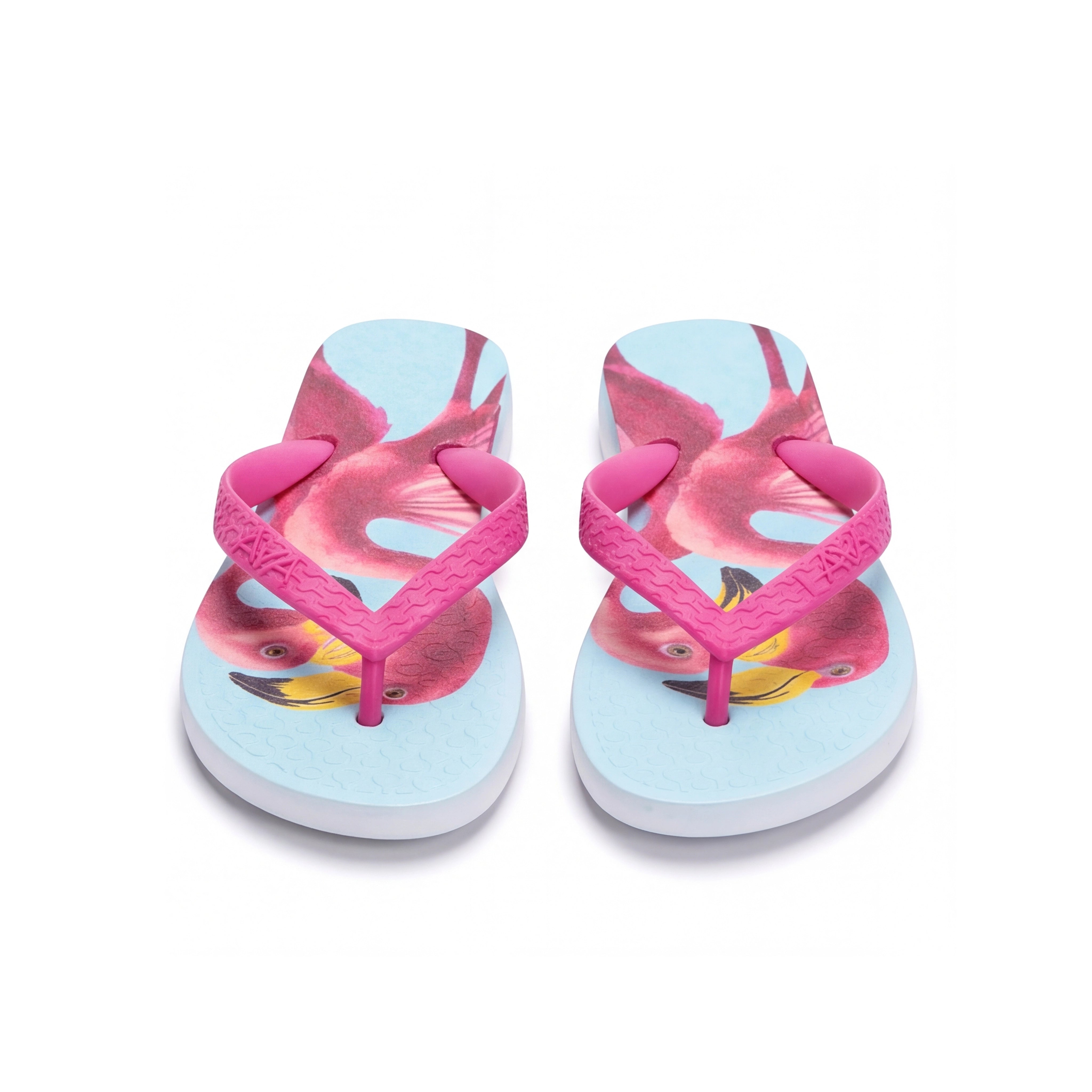 Flamingo Vibes