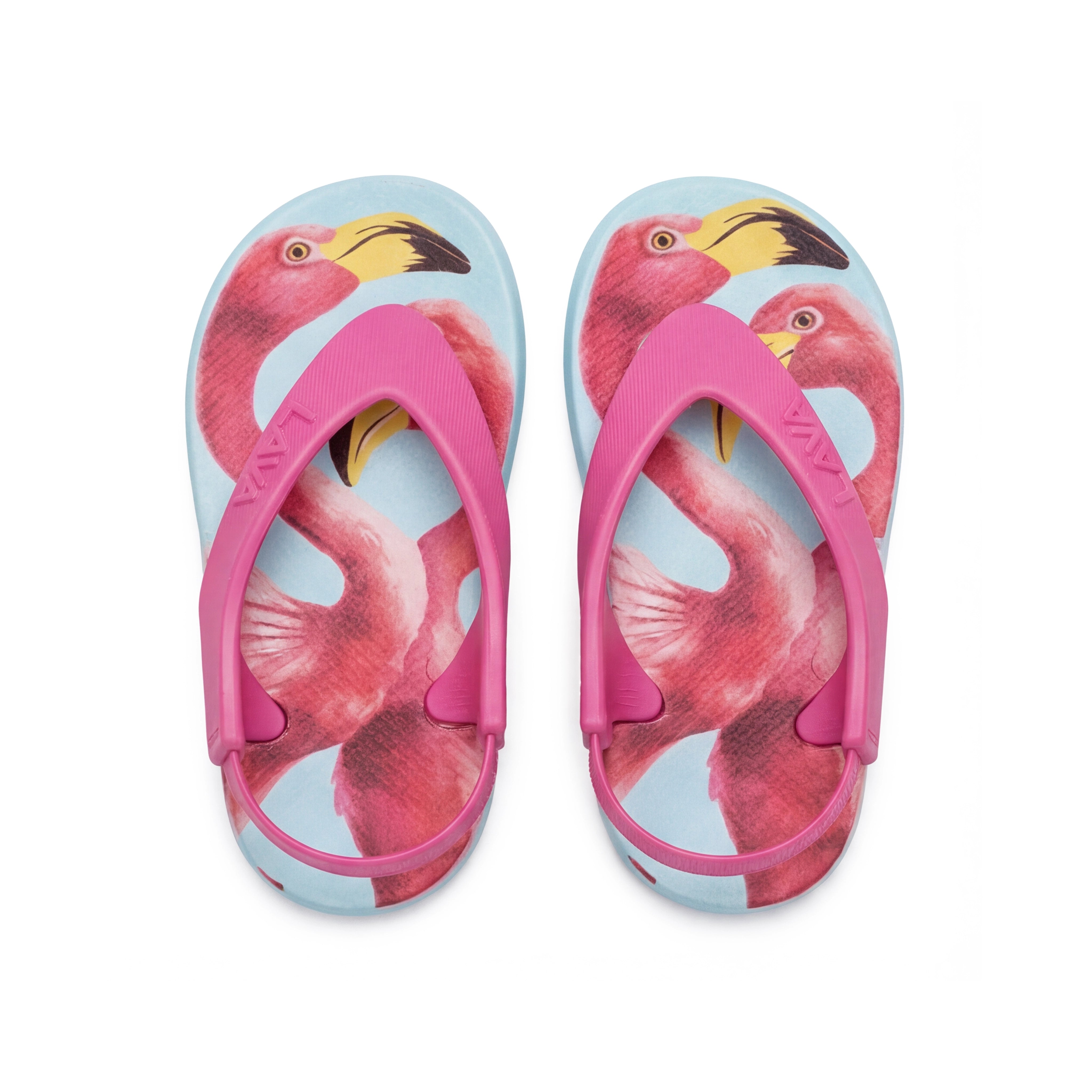 Flamingo Walks