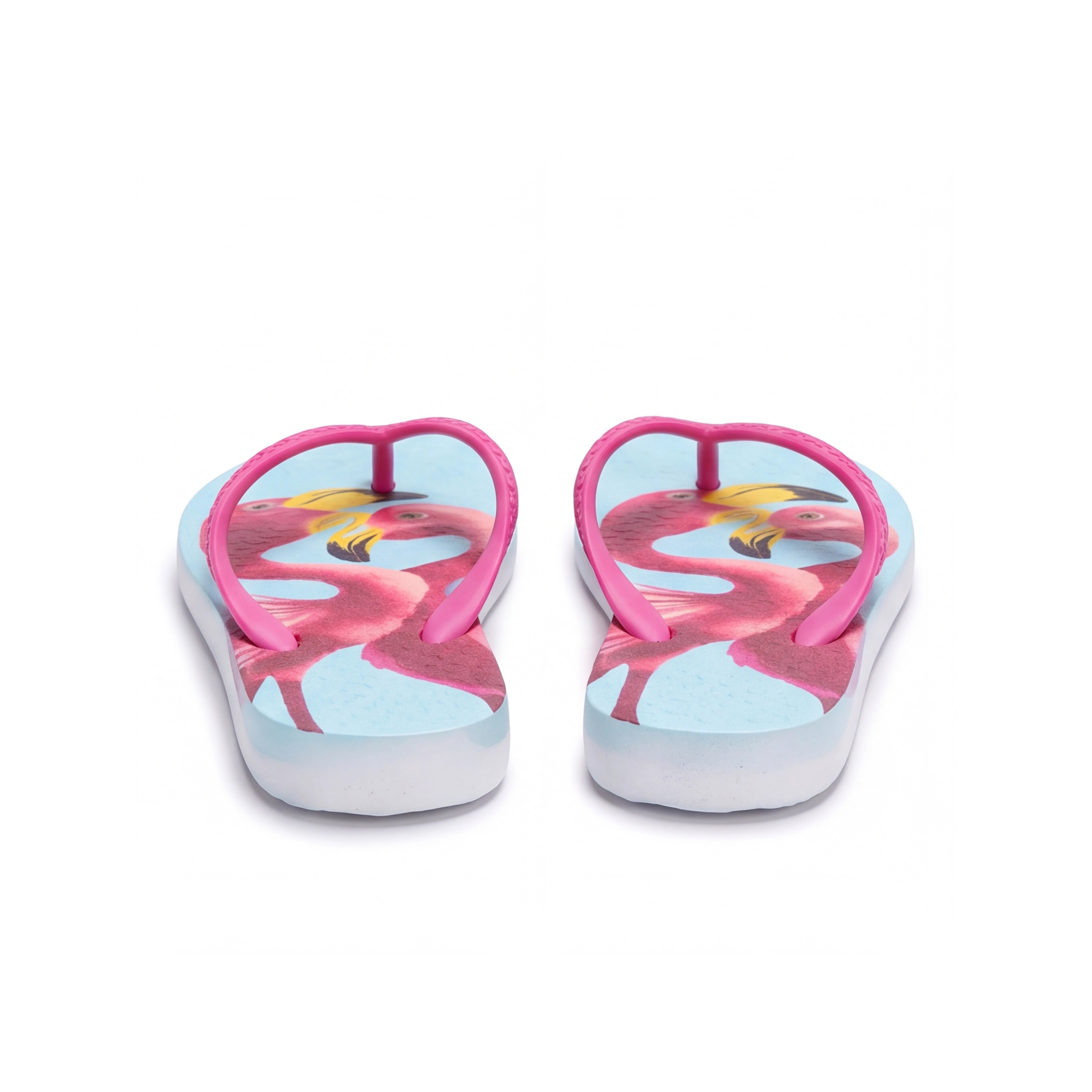 Flamingo Vibes