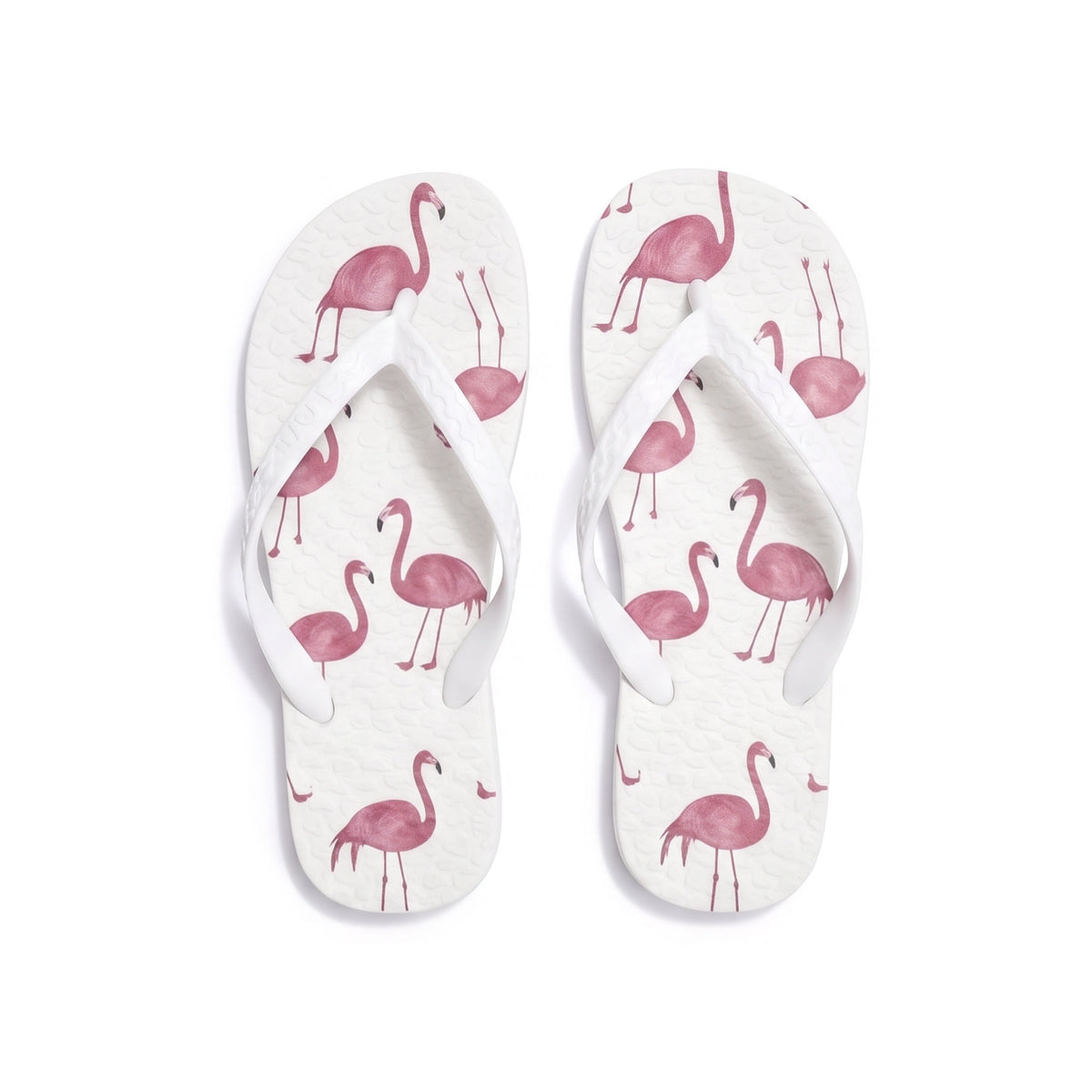 Pink Flamingo