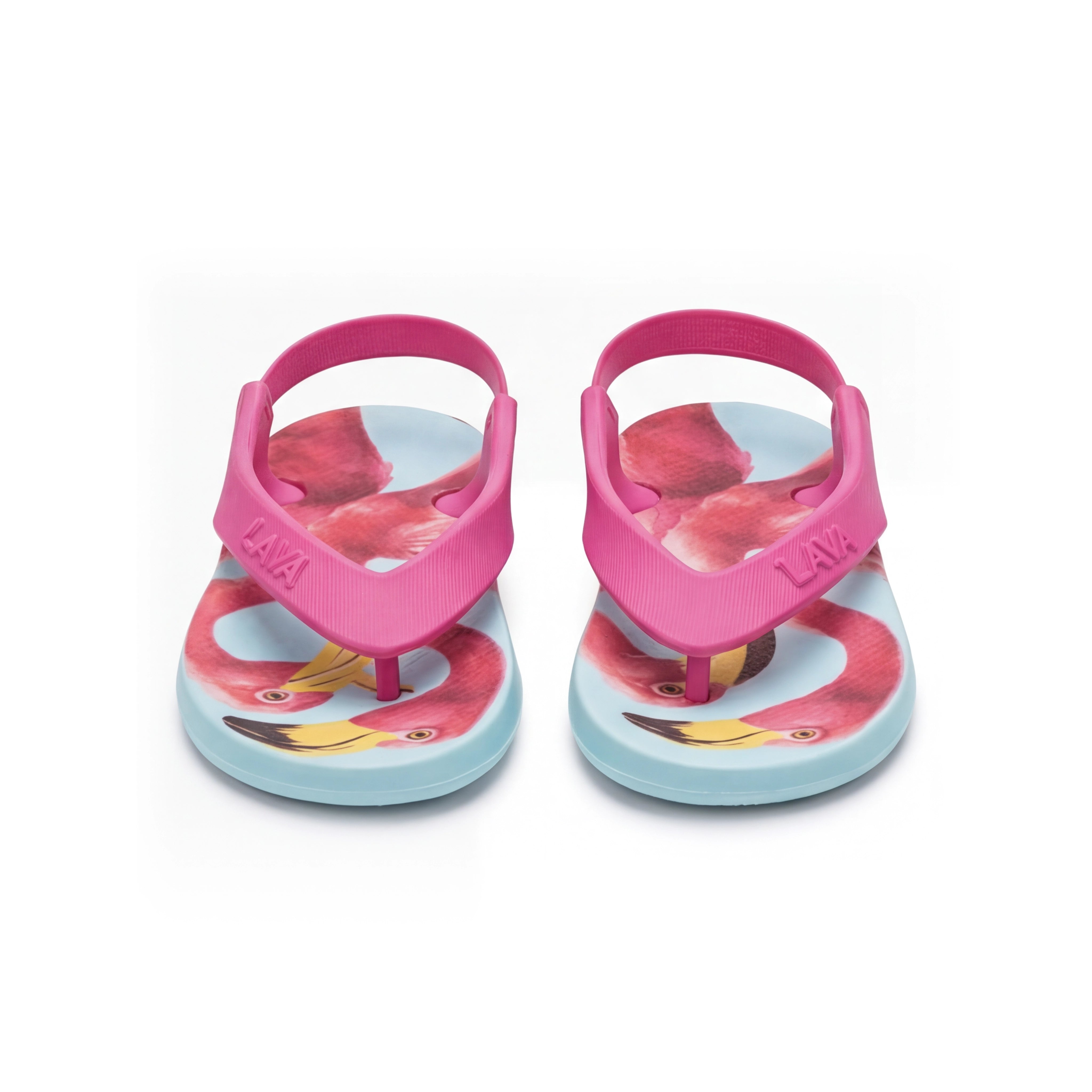 Flamingo Walks